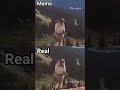 Screaming Beaver #meme (Meme vs Real)#shorts