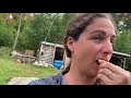 Pressing Apples For Hard Cider, Apple Scrap Vinegar & Home Canned Apple Juice