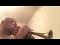 Sometimes I Feel Like a Motherless Child Cornet Cover by Curtis Lenox