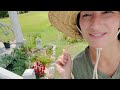 Summer Cottage Gardening + Updates/Garden Beginnings: You Have to Start Somewhere-Part 2