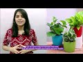 These Plants bring Bad luck, Poverty and Negative energy in life | Vastu Shastra, Feng Shui tips