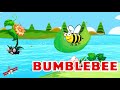 🎬 Fun Facts about Insects for Kids | Spell and Learn | Kev's School House