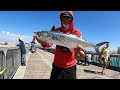 Dropped a GoPro Under the Gulf Pier and Saw MONSTERS! **Caught One**