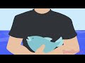 Team Seas With MrBeast [Animation]