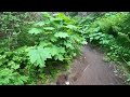 Biking Alaska's Resurrection Pass Trail - 2024