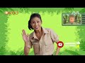 Why is the CROCODILE upside down? | Leo the Wildlife Ranger Spinoff S3E11 | @mediacorpokto