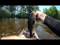 The Bite - Kayak Fishing Lake Chickahominy