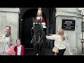 NEW HORSE WON’T ENTER BOX! ⚠️ 🐎 | Horse Guards, Royal guard, Kings Guard, Horse, London