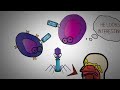 IMMUNE SYSTEM MADE EASY- IMMUNOLOGY INNATE AND ADAPTIVE IMMUNITY SIMPLE ANIMATION