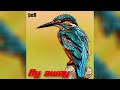 SuperVision - Fly Away (Official Audio) (DnB)