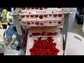 Modern Food Processing Technology That Are At Another Level