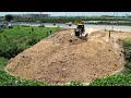 Amazing Excellent Skills Big Bulldozer SHANTUI DH17 C3 Pushing Dirt, 12 Wheel Trucks Unloading Soil