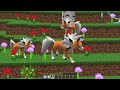 A Cada XP eu EVOLUO no MINECRAFT PIXELMON