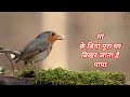 Bagho Ke Har Phul Ko Apnaa Samjhe Baghban |Yumna Ajin| Maa baap love  Video 😢😢😢