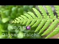 Qigong/Taichi Music 2022