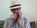 C'est magnifique_harmonica chromatic