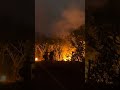 Backfire being lit by Idaho firefighters in SOTX