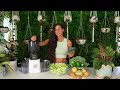 Juicing & Raw Foods FAQ 🌱 What NOT to Juice + Is Fruit Juice Bad for You? Easy Recipe for Beginners