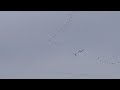 Like bombers over WWII Germany, birds go south. Pt1