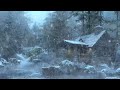 Mighty Blizzard & Snowstorm Sounds | Arctic Winds & Snow Sounds | Winter Storm Ambience