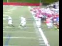 Stony brook Seawolves Football Awesome Catch