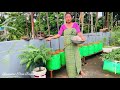 Harvesting Organic summer vegetables from rooftop garden || मैथा सिख्ला मैगं खालायबाय गोजौआव गायनाय