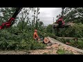 This tree nearly destroyed this house