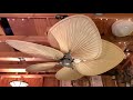 Fanimation “Islander” Ceiling Fan