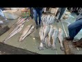 CST 🐟 Fish Market @Mumbai