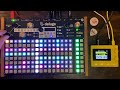 Plight of the Bumblebee (Synthstrom Deluge & 1010 Lemondrop Song Sketch) Chill/Downtempo