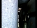 2002 Dodge Intrepid R/T Exhaust