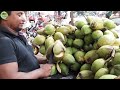 How to Harvest Coconuts with a Rope | Coconut Processing in a Factory | Agriculture Technology#24.