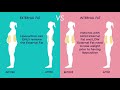 Removing Fat with LIPO - Internal Fat vs External Fat