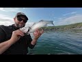 SIB Fishing & Camping - Llyn Peninsula, North Wales - Bass & Wrasse Fest!!!