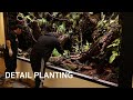 Nature Indoors Created By Humans | Making a 4M Paludarium