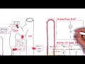 Nephrology - Physiology Reabsorption and Secretion