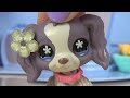 LPS Parent Traps #2 (FUNNY SKIT)