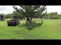 Mowing the new pasture. Rain. Hay bale spear. Picking peas. Last pasture gate. Farmhouse Cooking.