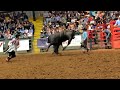 Wilfong Bucking Bulls Necessary Roughness