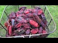 How To Smoke & Dry Peppers (Chipotles)