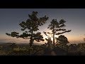 ISLAND IN THE SKY III | LA PALMA in 8K60