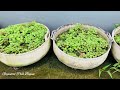 Organic green Amaranth in tyre container at home || थायारआव गायनाय दाथा मैगं || खाजाबाय एवजानो मोनबा