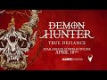 Demon Hunter 
