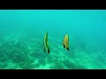 Snorkeling in Gili Air. Island , Indonesia