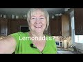 5-Minute Home Made LEMONADE Recipe | Lemon Juice Concentrate | Microwave Recipe