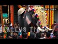 Annamanada Umamaheshwan Elephant Attack Thrissur Pooram