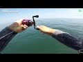 [오션88] 참돔 타이라바 입질유형 패턴을 알아보자!! red seabream tairubber fishing