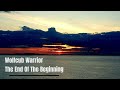 The End Of The Beginning - WolfcubWarrior