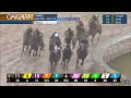 2024 Southwest Stakes (GIII) - Full Race Replay