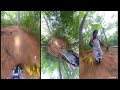 Begode Extreme Trail ride. 3 camera angles insta360 camera #begode #electricunicycle #euc  #pev